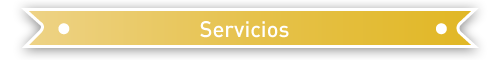 servicios